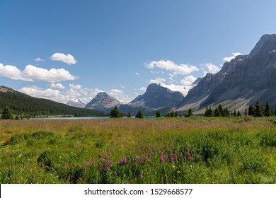 Bow Lake With Watermelon Peak And Marmot Mountain In The Background, Canada