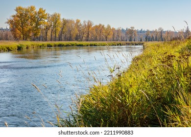 Bow River In Fish Creek Park Calgary