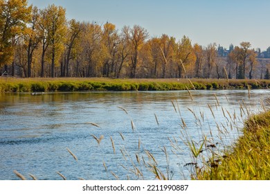 Bow River In Fish Creek Park Calgary