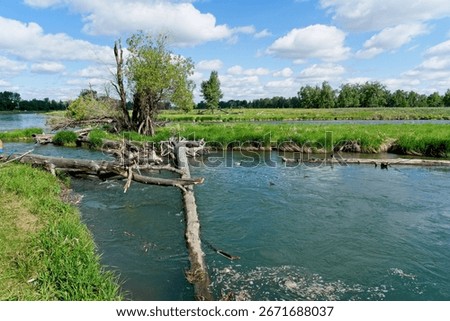 Bow River flowing through Fish Creek Provincial Park in Calgary Alberta Canada