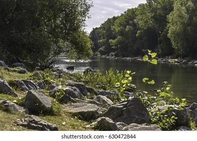 Bow River Seen From Prince's Island Park