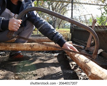 bow saw in the hands of a strong man sawing a fresh raw log, rustic construction work with hand tools, sawing wood material with a hand saw in the street