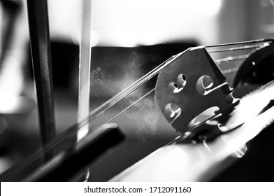 Bow and strings during violin playing