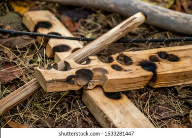 A bowdrill for making a fire by friction. Commonly used by the natives.  - Powered by Shutterstock