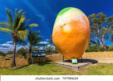 Big mangos