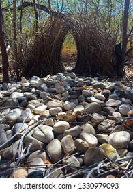 Bower Bird Nest With Stones In Foreground