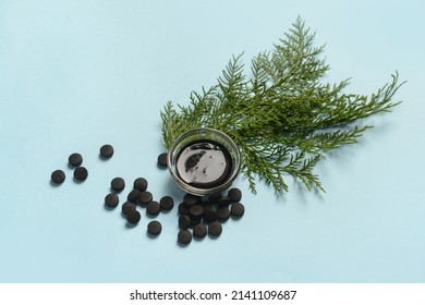 Bowl Of Activated Carbon Mask, Pills And Thuja Branch On Color Background