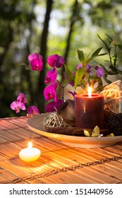 PopurrÃ?Â­, bowl, candles , cinnamon, and orchid - in forest