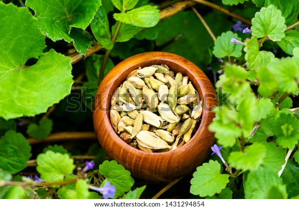 Bowl Cardamom Seeds Garden Food And Drink Stock Image 1431294854,Stainless Steel Gas Grills On Clearance