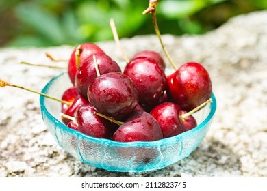 Bowl With Cherries In A Garden