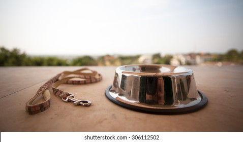 bowl and collar near on a white floor