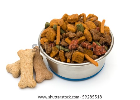 A bowl of dog food isolated on a white background, feed your dog good food