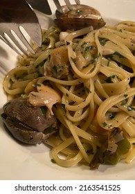 Bowl Of Fettucine Pasta With Vongole And White Wine Sauce