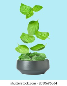 Bowl With Flying Basil Leaves On Color Background