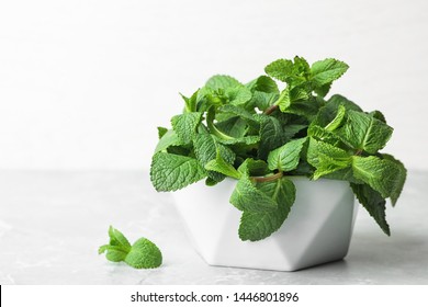 Bowl with fresh green mint on table. Space for text