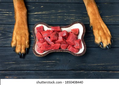 Bowl Of Fresh Raw Meat For Dog. 