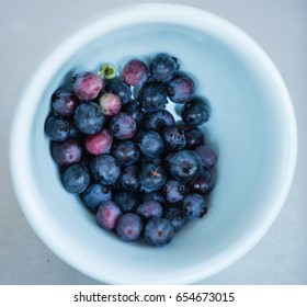 A Bowl Of Fresh-picked Wild Blueberries.