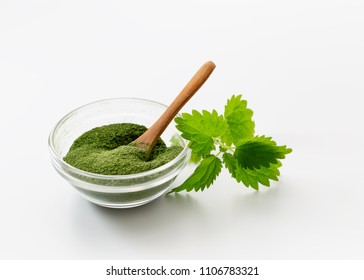 Bowl Of Homemade Nettle Leaf Powder With Fresh Nettles