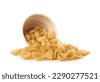 shell pasta isolated