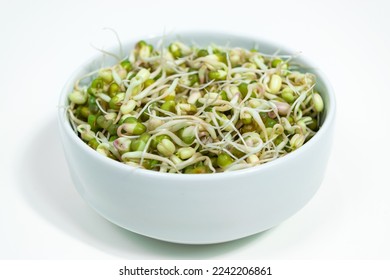 Bowl of sprouted mung beans (Vigna radiata) with small roots for eating. White background. Close up. Concept of diet, vegetarianism, vegan, healthy products and proper nutrition. Copy space. - Shutterstock ID 2242206861