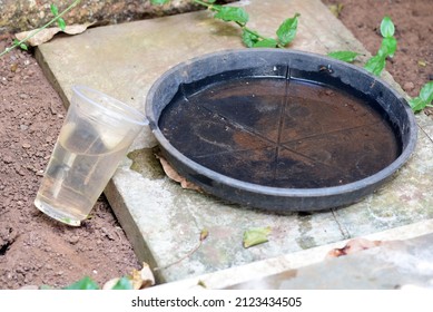 Bowl With Standing Water Place Of Proliferation Of Dengue Chikungunya Disease, Malaria, Zica Virus