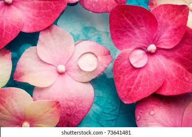 Bowl of water with pink hortensia petals - Powered by Shutterstock