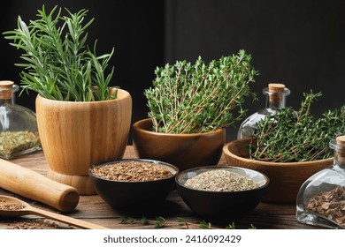 Bowls of dry different healing plants and fresh green medicinal herbs - rosemary and thyme. Bottles of dry medicinal herb for making tinctures or infusions. Alternative herbal medicine.   - Powered by Shutterstock