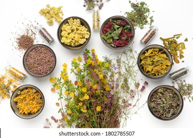 Bowls Of Dry Medicinal Herbs, Healing Plants Bunches And Bottles Of Dry Medicinal Plants On White Background. Top View, Flat Lay. 