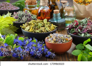 Bowls of dry medicinal herbs - mistletoe, wild marjoram, heather. Calendula flowers, bilberry twigs and bugleherb flowers. Healing herbs assortment and infusion bottles. Alternative medicine.