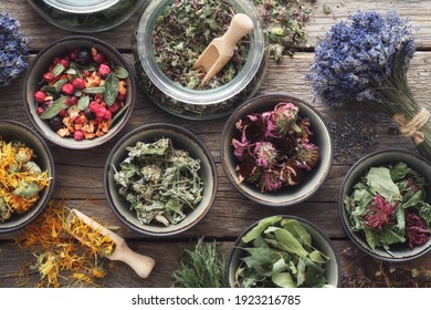 Bowls and jars of dry medicinal herbs. Healing herbs assortment, top view. Alternative medicine.