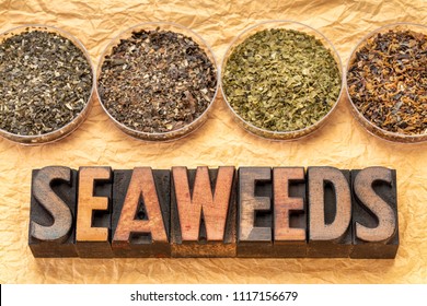 bowls of seaweed diet supplements (bladderwrack, sea lettuce,  wakame and Irish moss) with letterpress wood typography