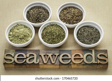 bowls of seaweed diet supplements (bladderwrack, sea lettuce, kelp powder, wakame and Irish moss) with letterpress wood typography