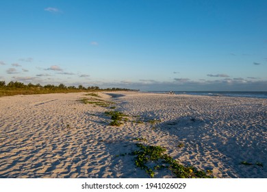 Bowman's Beach On Sanibel Island Near Sunset. 