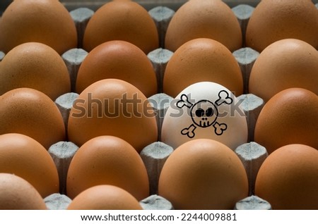 box of brown chicken eggs one white toxic egg, concept for egg allergies, egg hygene