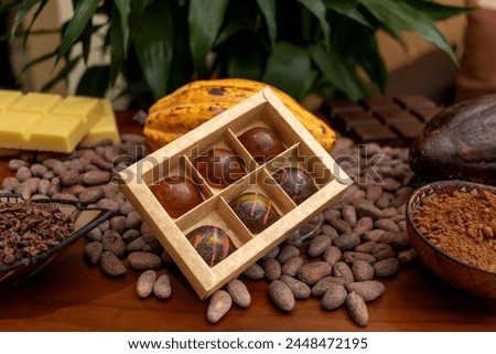 A box of chocolate with chocolates inside placed sideways, and at the base, cocoa beans and cocoa nibs, beside a container of cocoa powder. Ecuadorian fine aroma chocolate