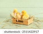 Box with cute ducklings on green wooden background