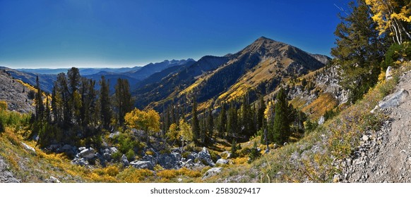 Box Elder Peak view looking up from hiking trail, American Fork Canyon. Wasatch Range Rocky Mountains, Utah, United States.