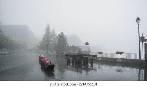 A box of flowers by the cable car in the fog At the Alps. Mix of flowers and colors. General contest of the European Alps - Powered by Shutterstock