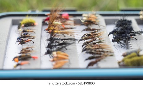 Box with fly-flies