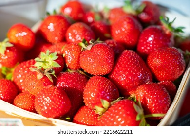 Box With French Red Ripe Sweet Strawberries Manon Des Fraises, Fragaria Ananassa Harvested In Provence, Summern In France