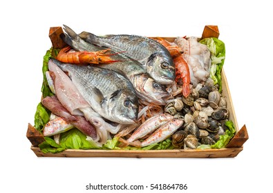 Box Of Fresh Fish And Clams Isolated On White Background.