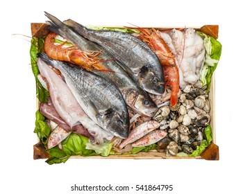 Box Of Fresh Fish And Clams Isolated On White Background.