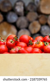 Box with fresh red tomatoes on the background of firewood. Red non-gmo tomatoes in a container on a wood texture background. The concept of health, non-gmo products, clean ecological food.