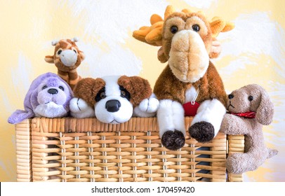 Box Full Of Pet Toys