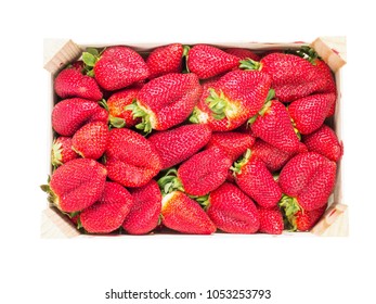 Box of large size strawberries flat lay top view isolated on white