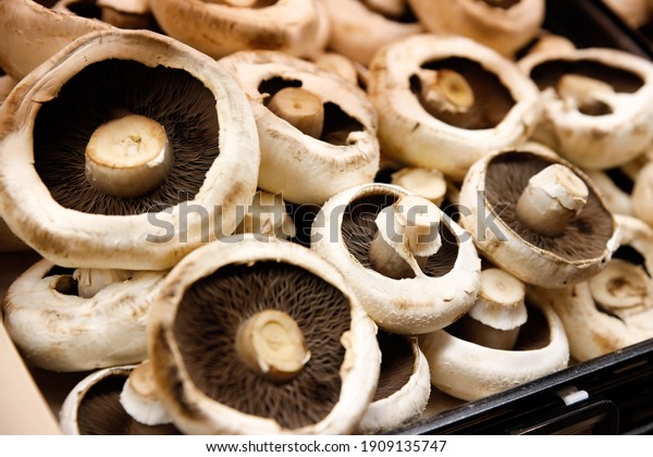 Box of Mushrooms Fresh\
Produce