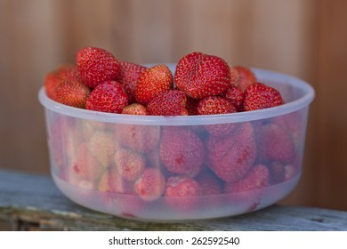 Box Of Ripe Strawberries