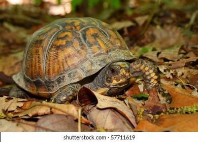 Monte sano state park Images, Stock Photos & Vectors | Shutterstock