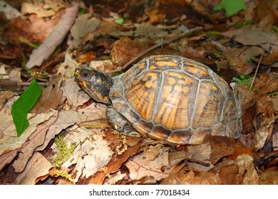 Monte sano state park Images, Stock Photos & Vectors | Shutterstock