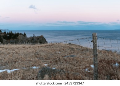 A box wire fence and wooden post divides a grassy field on the edge of a cliff. The ocean water is calm and smooth. The sunrise's cloudy sky is pale pink and blue. The coastline has evergreen trees. - Powered by Shutterstock